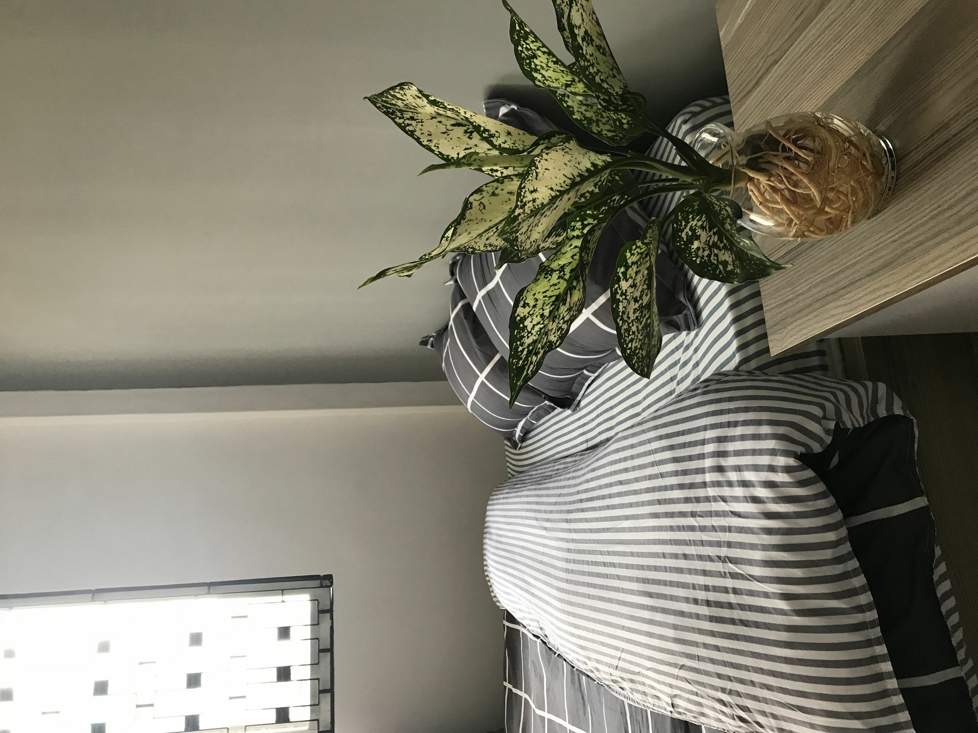 Meowies Homestay Ho Chi Minh-staden Exteriör bild